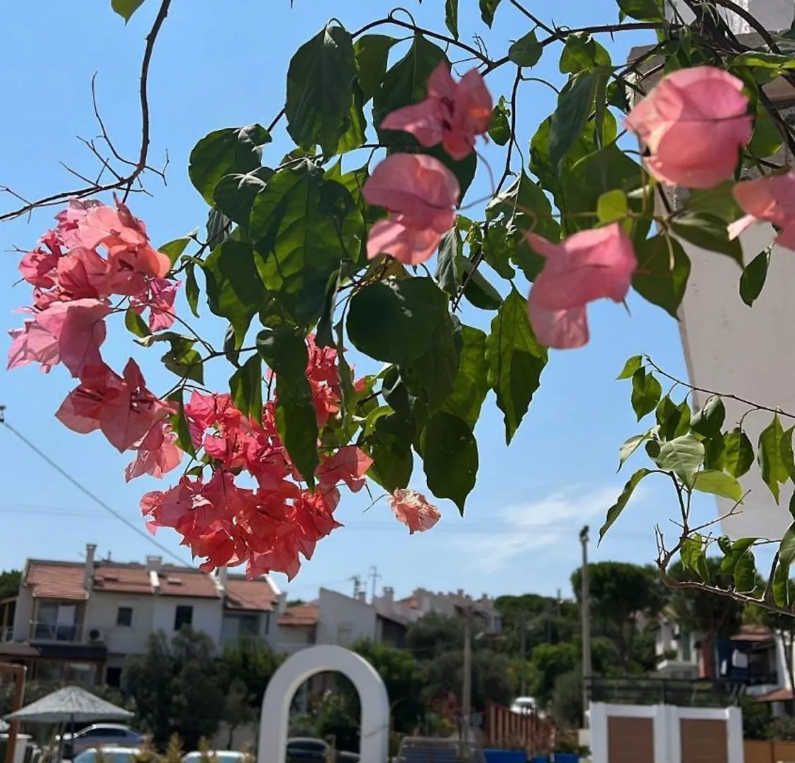 Belong Butik Otel Çeşme 旅馆