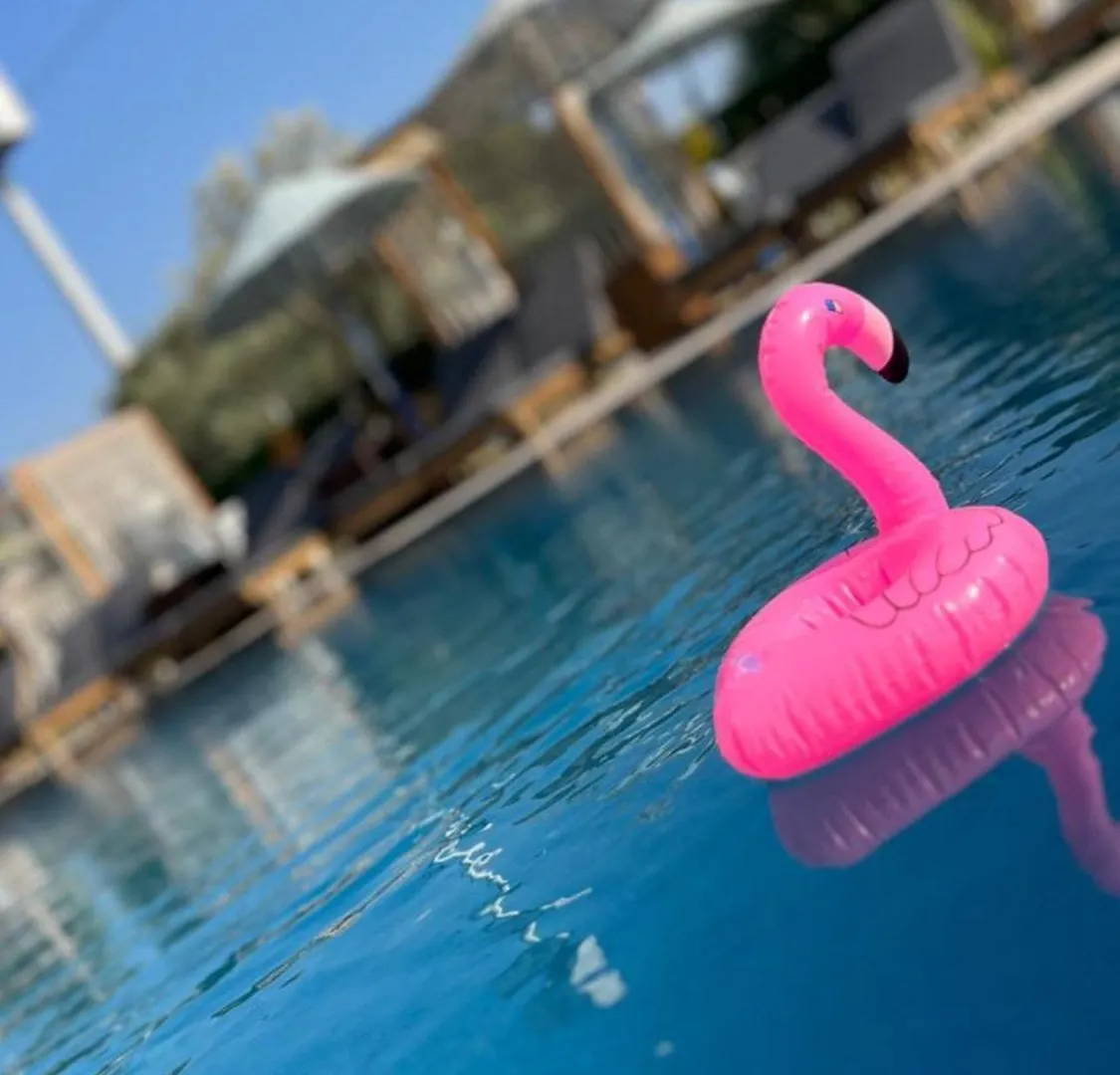 旅馆 Belong Butik Otel Çeşme